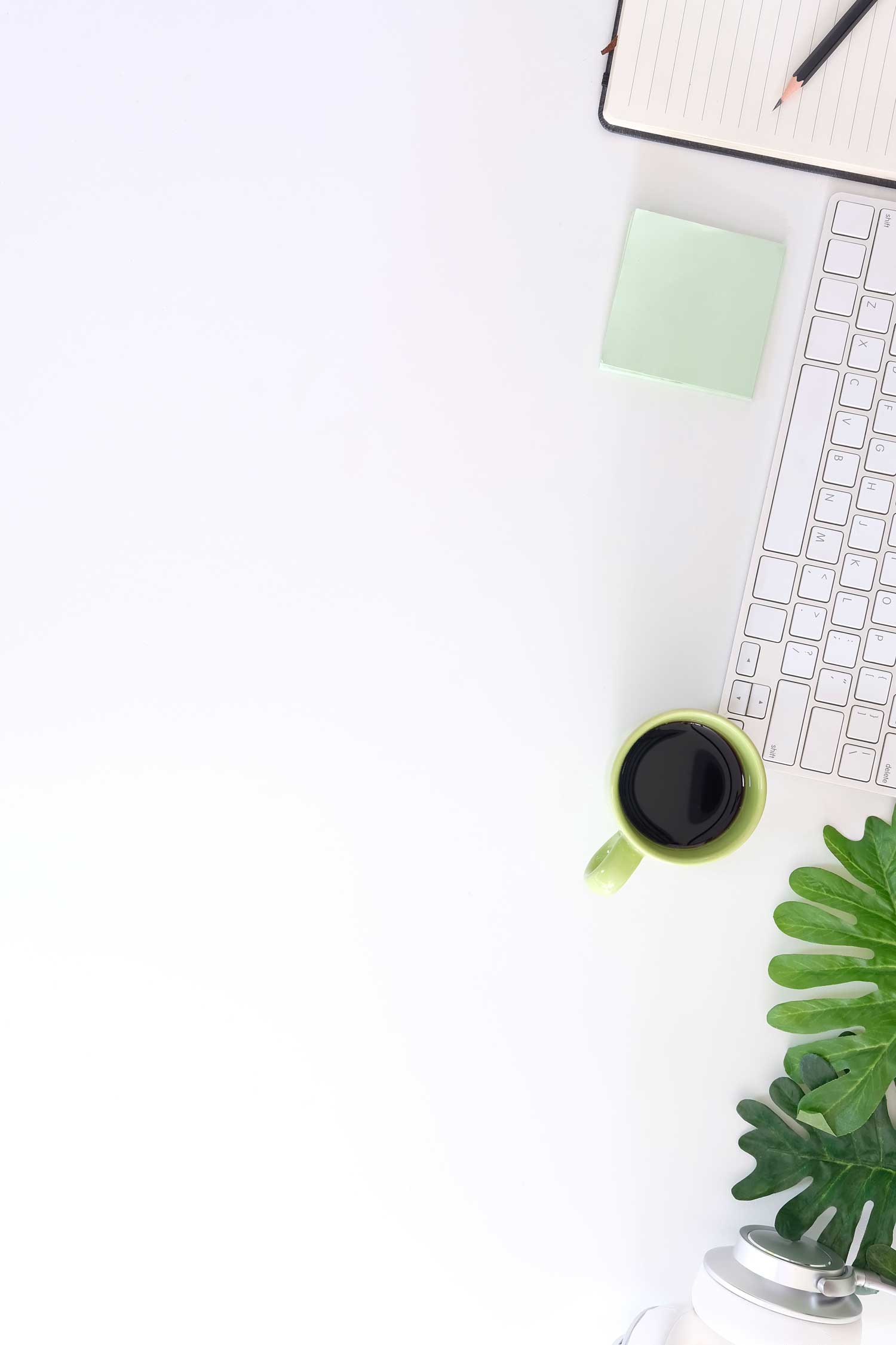 AdobeStock_213588308-1 Planificamos y escribimos contenidos optimizados SEO para Google y para tus clientes